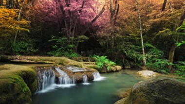 colourful trees with waterfall